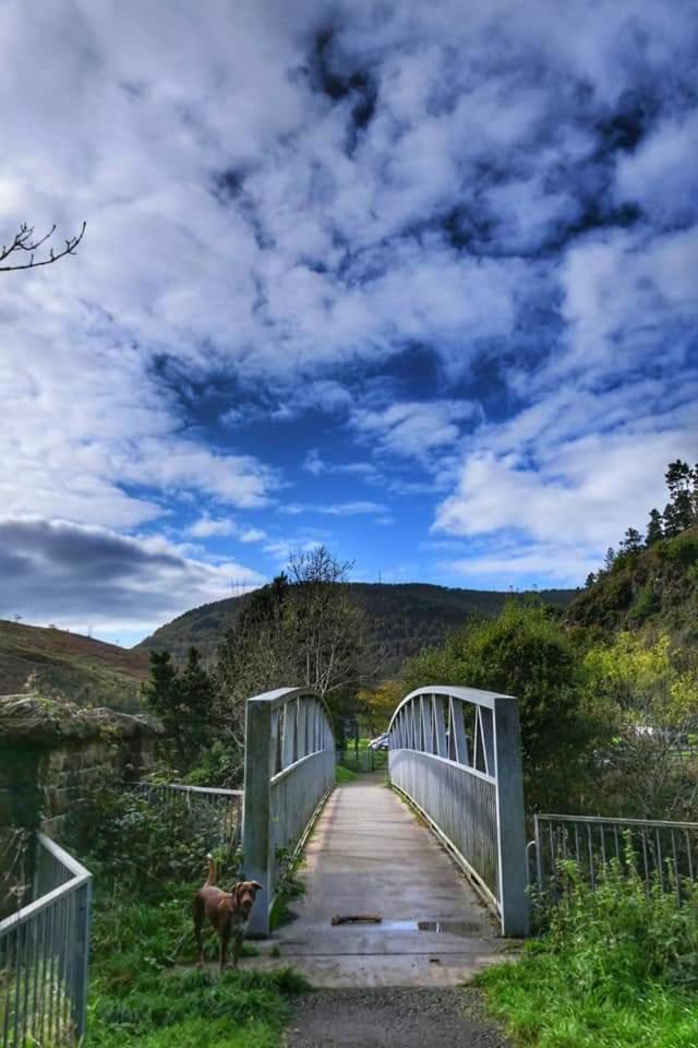 Selah Cottage, 21 Queen Street Pontrhydyfen Rum bild