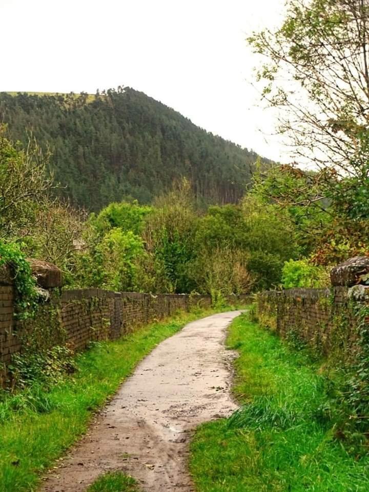 Selah Cottage, 21 Queen Street Pontrhydyfen Rum bild