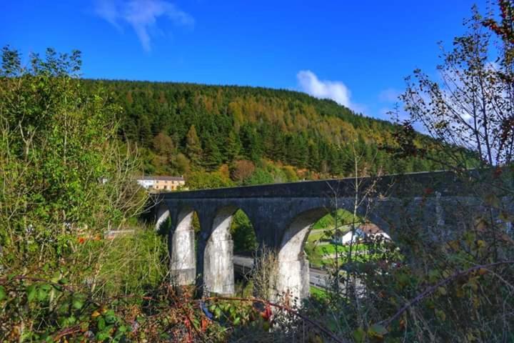 Selah Cottage, 21 Queen Street Pontrhydyfen Rum bild